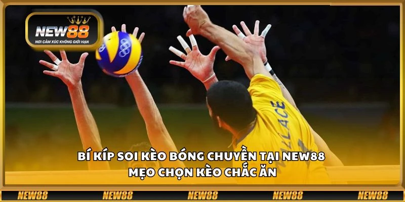Bí kíp soi kèo bóng chuyền tại New88 - Mẹo chọn kèo chắc ăn 7 Bí kíp soi kèo bóng chuyền tại New88 - Mẹo chọn kèo chắc ăn