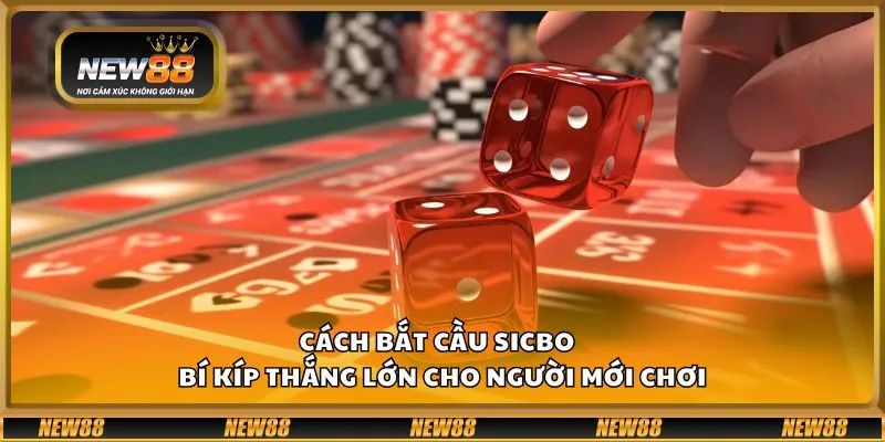 Cách bắt cầu Sicbo - Bí kíp thắng lớn cho người mới chơi 1 Cách bắt cầu Sicbo - Bí kíp thắng lớn cho người mới chơi