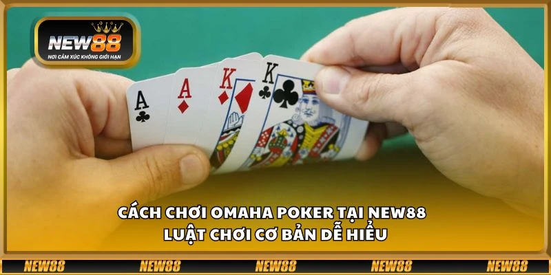 Cách chơi Omaha Poker tại New88 - Luật chơi cơ bản dễ hiểu