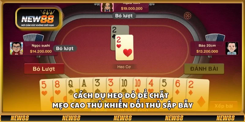 Cách dụ heo đỏ để chặt - Mẹo cao thủ khiến đối thủ sập bẫy 2 Cách dụ heo đỏ để chặt - Mẹo cao thủ khiến đối thủ sập bẫy