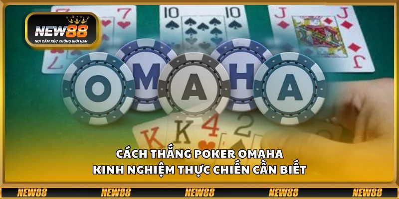 Cách thắng poker Omaha - Kinh nghiệm thực chiến cần biết 8 Cách thắng poker Omaha - Kinh nghiệm thực chiến cần biết