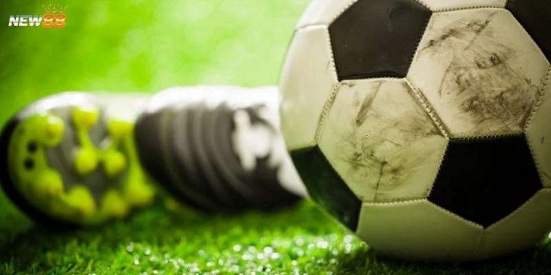 Cách xem kèo rung chuẩn xác từ chuyên gia