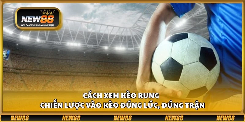 Cách xem kèo rung tại New88 - Chiến lược vào kèo đúng lúc, đúng trận 3 Cách xem kèo rung tại New88 - Chiến lược vào kèo đúng lúc, đúng trận