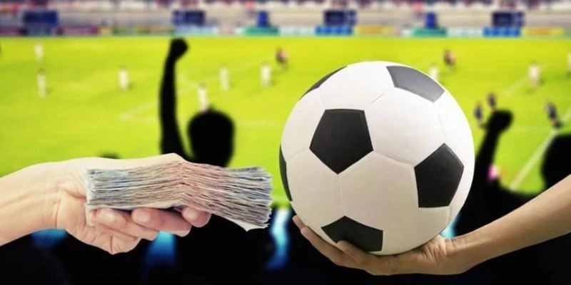 Cách tối ưu hóa chiến lược cá cược La Liga